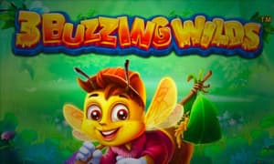 3 Buzzing Wilds
