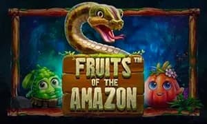 Fruits of the Amazon