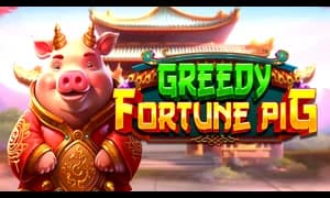 Greedy Fortune Pig