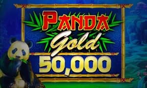 Panda Gold 50,000