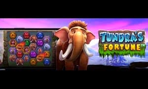 Tundra's Fortune