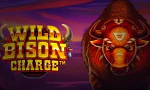 Wild Bison Charge