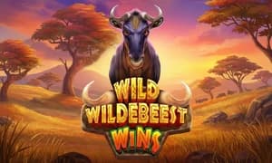 Wild Wildebeest Wins